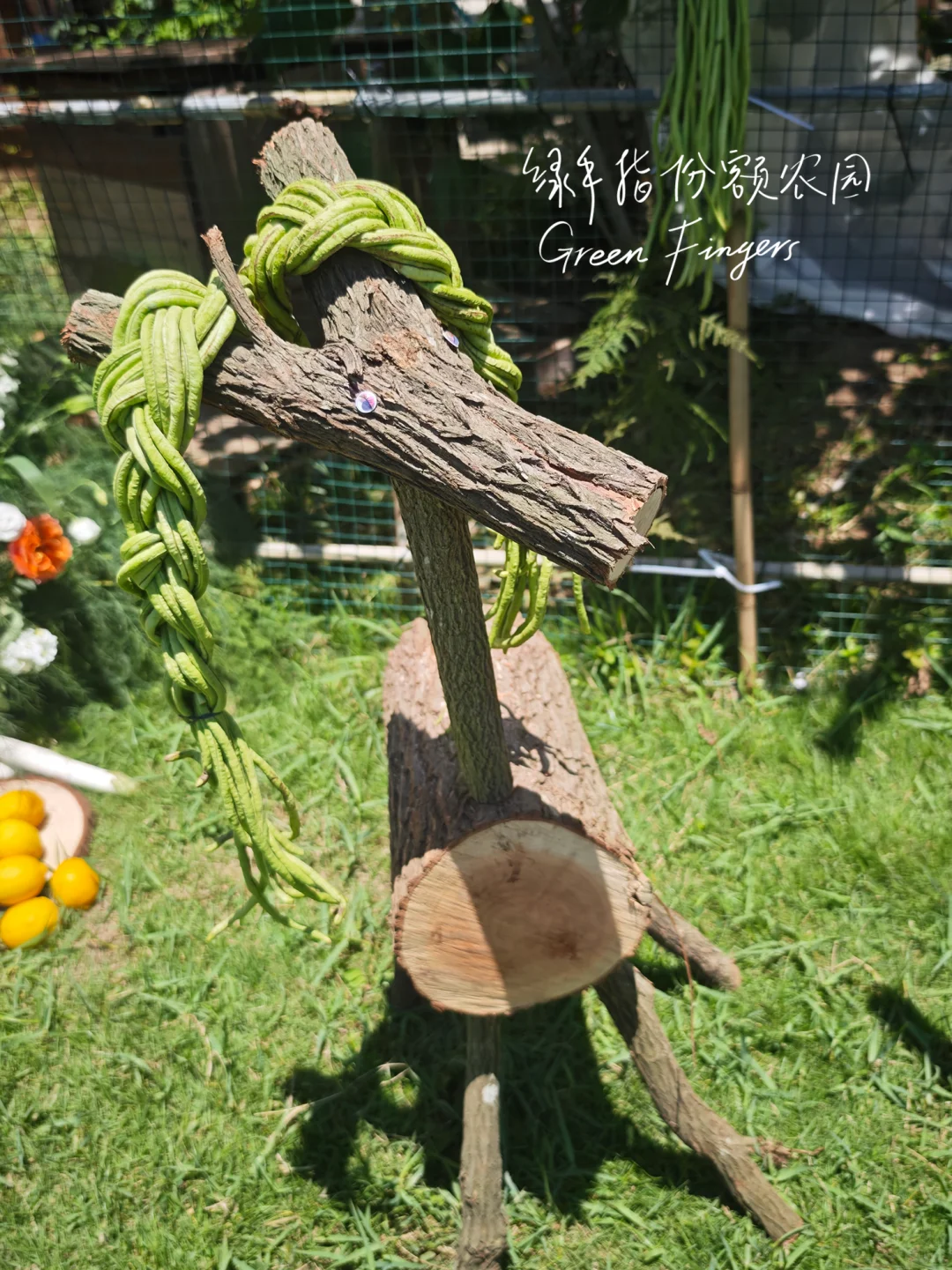 ?废弃树枝大改造！农场变身艺术乐园?