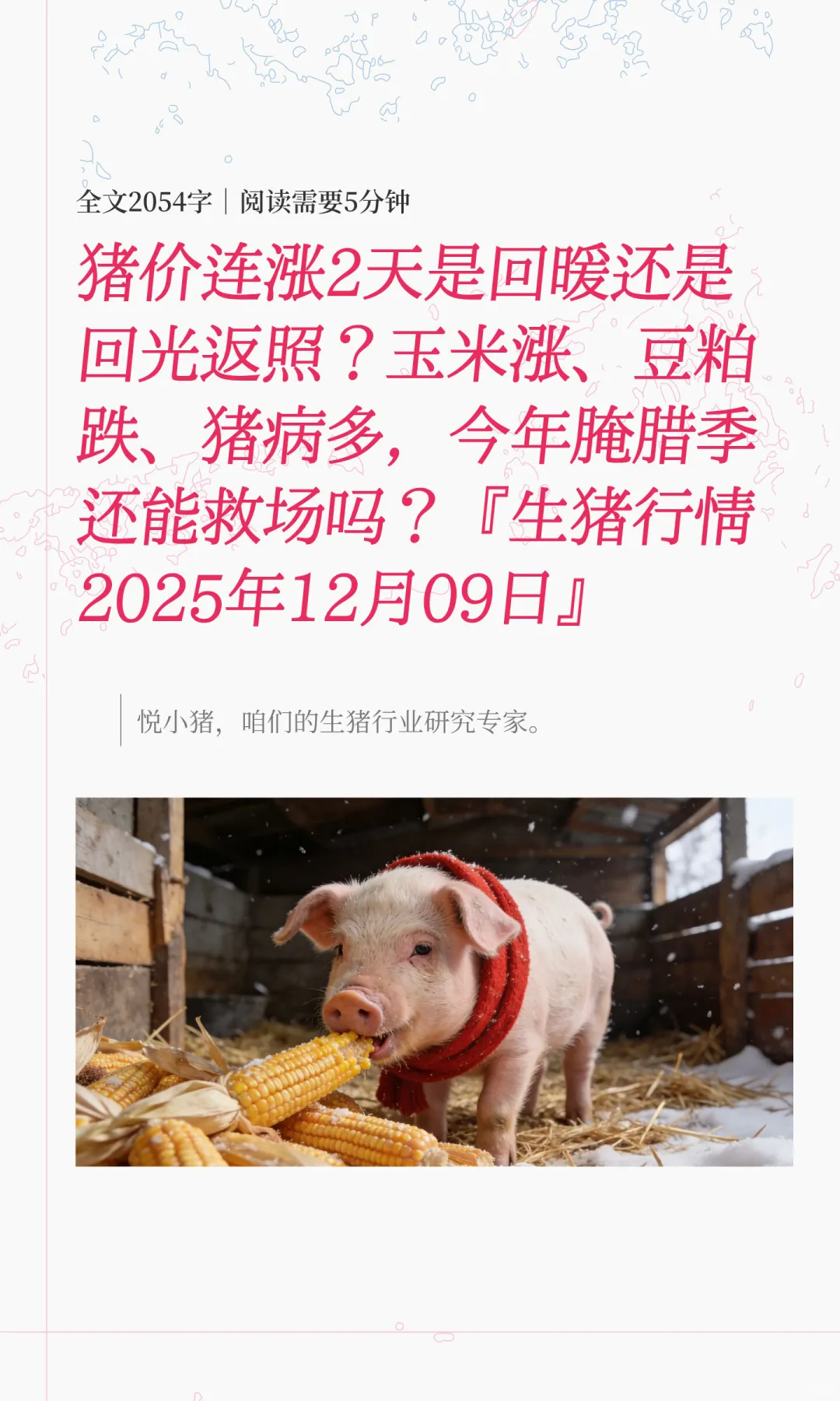 猪价连涨2天是回暖还是回光返照？玉米涨、