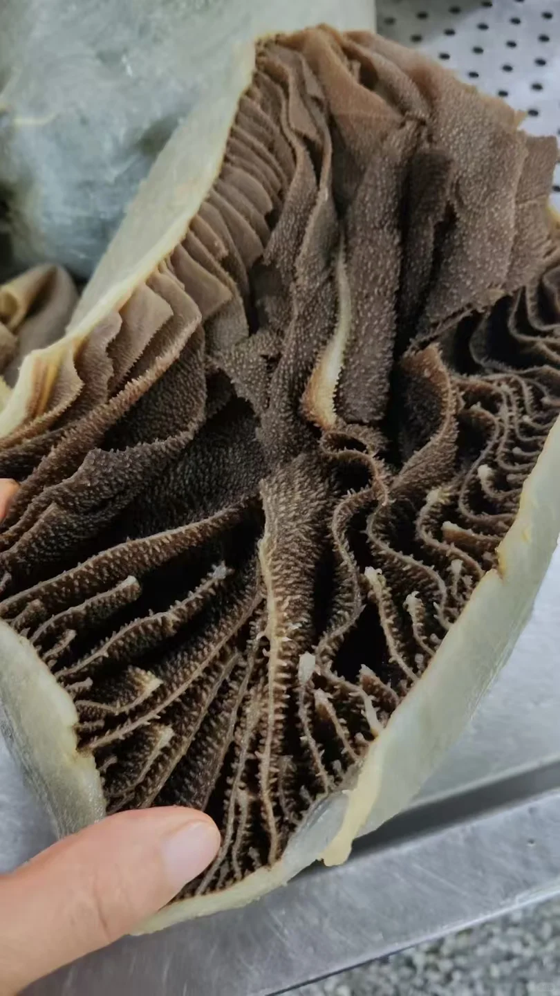 毛肚厂家直销 一件也是批发价