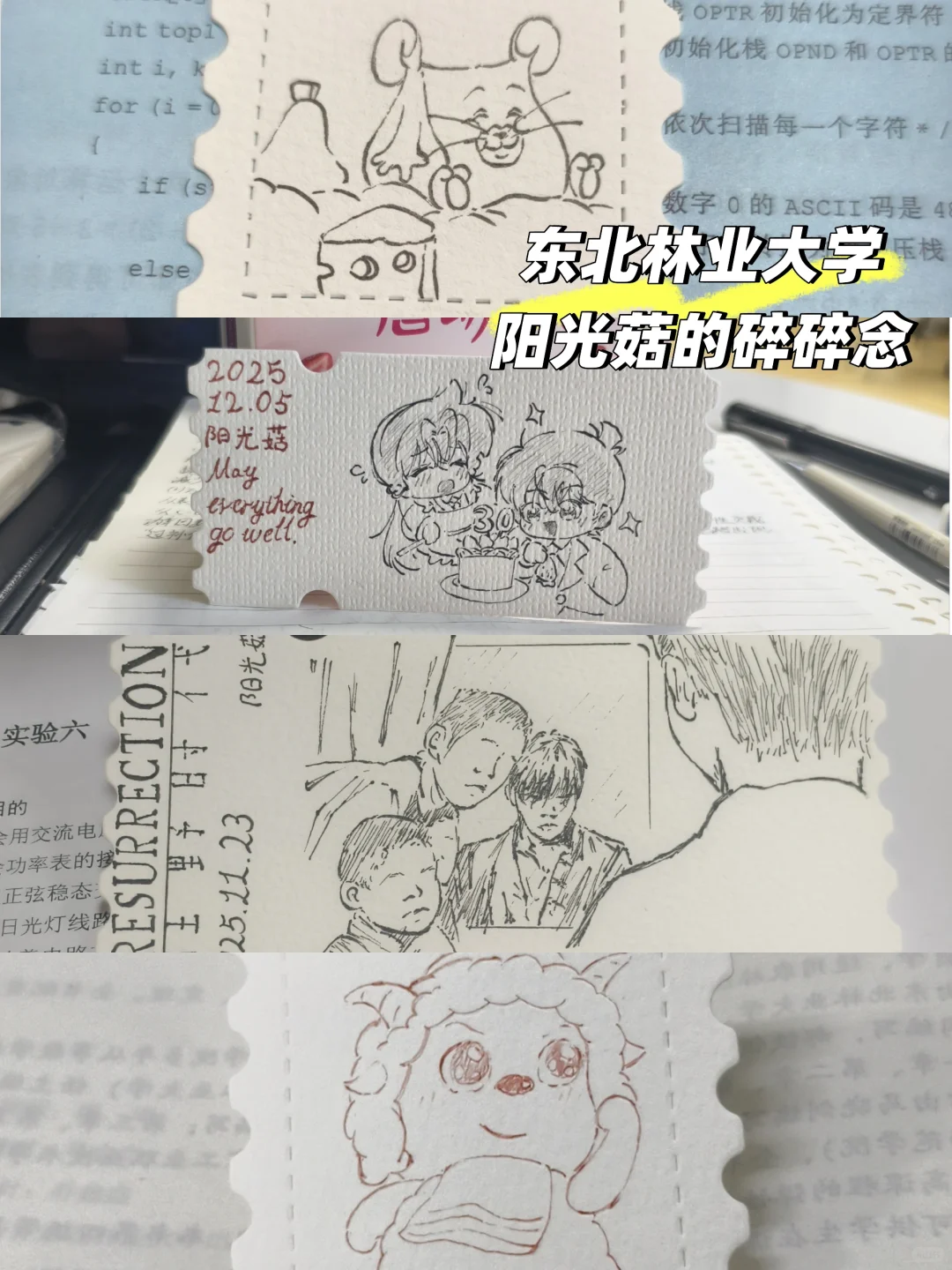 东北林业大学阳光菇