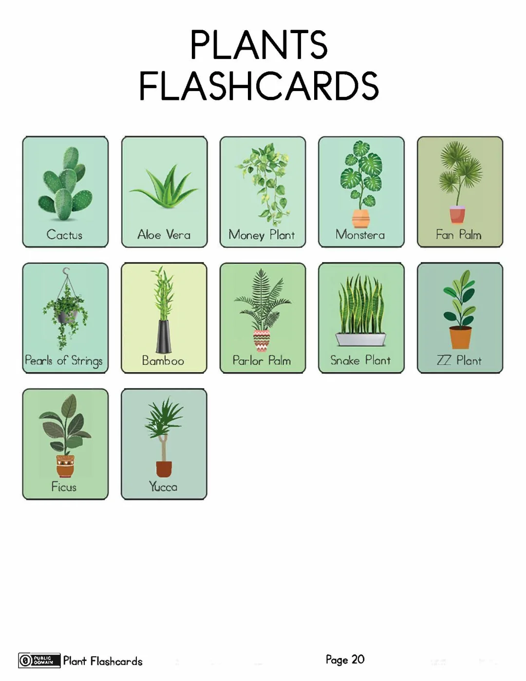 亲子英语和孩子一起学英文水果蔬菜植物