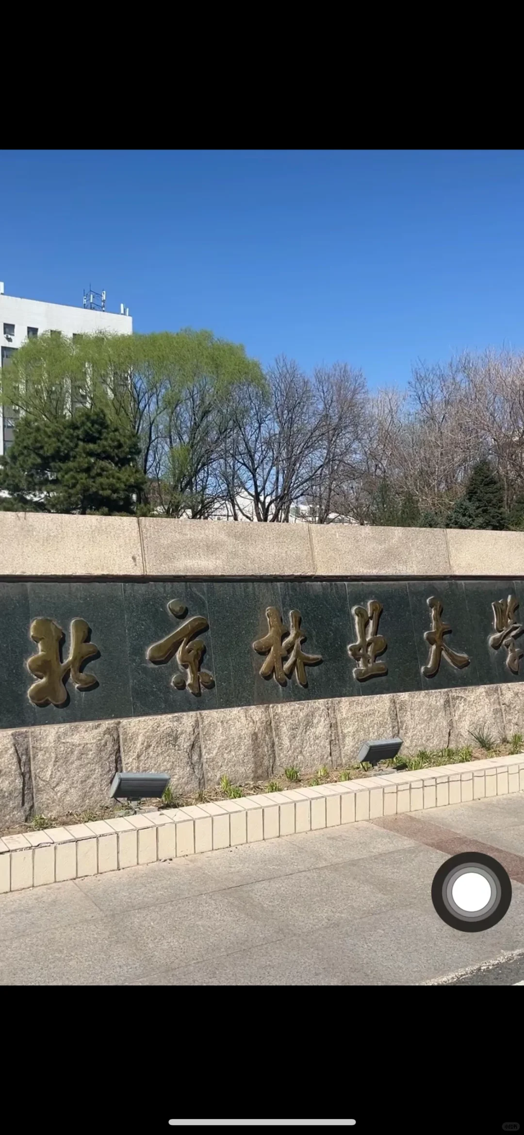 北京林业大学林业
