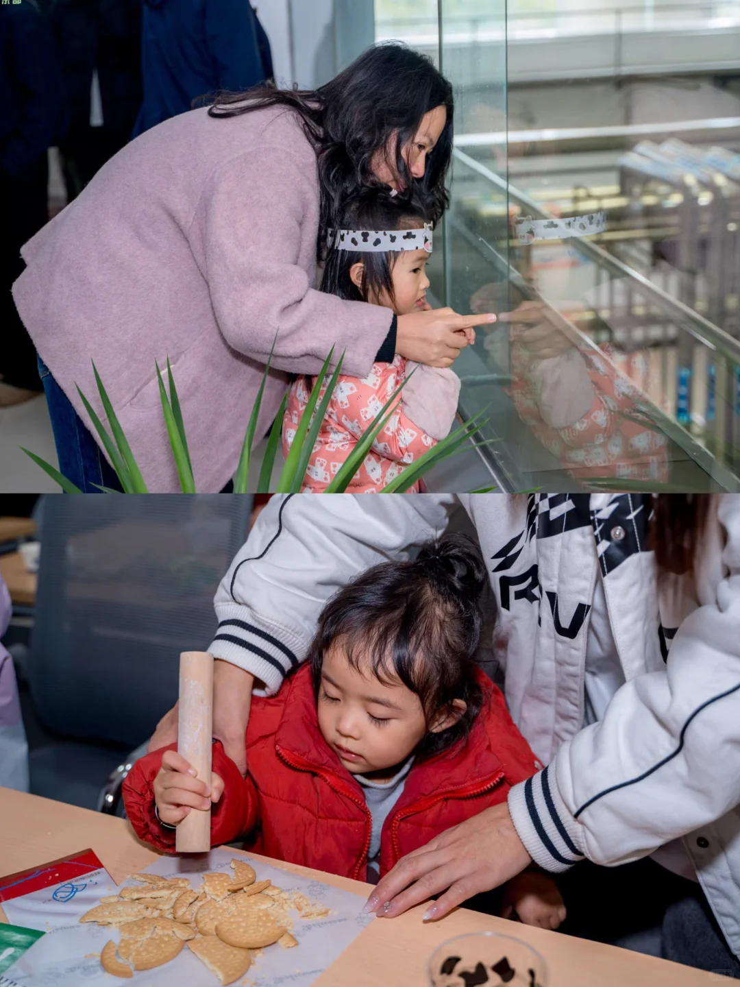 好一多牧场开放日!带娃探秘贵阳奶牛王国?