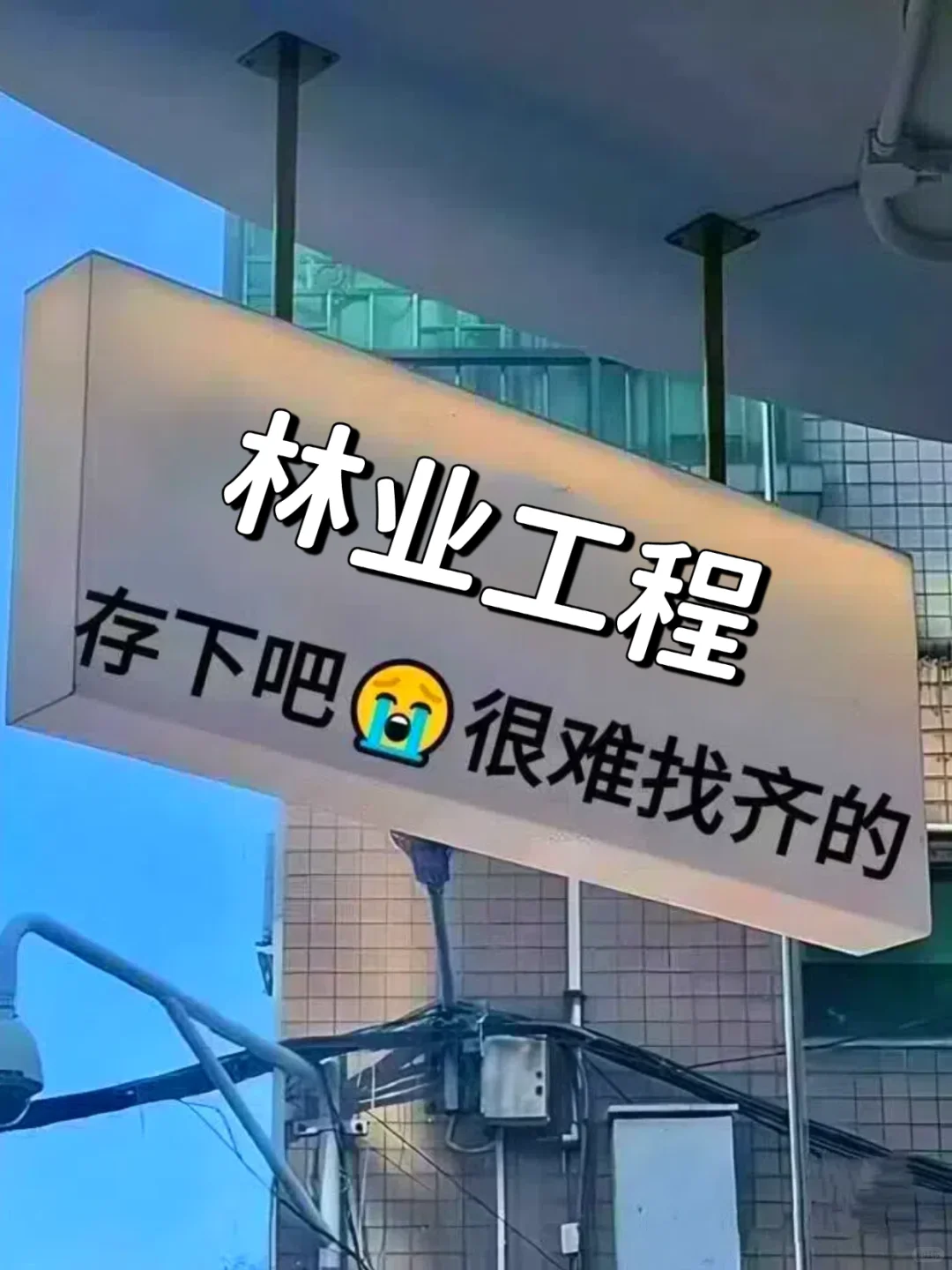 求求了?林业工程专业的一定要刷到啊