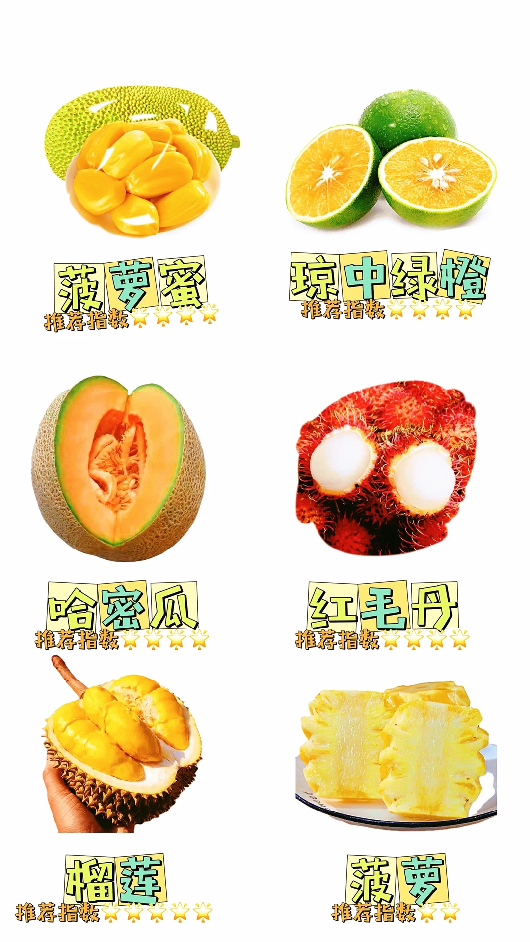 水果脑袋在海南狂欢?