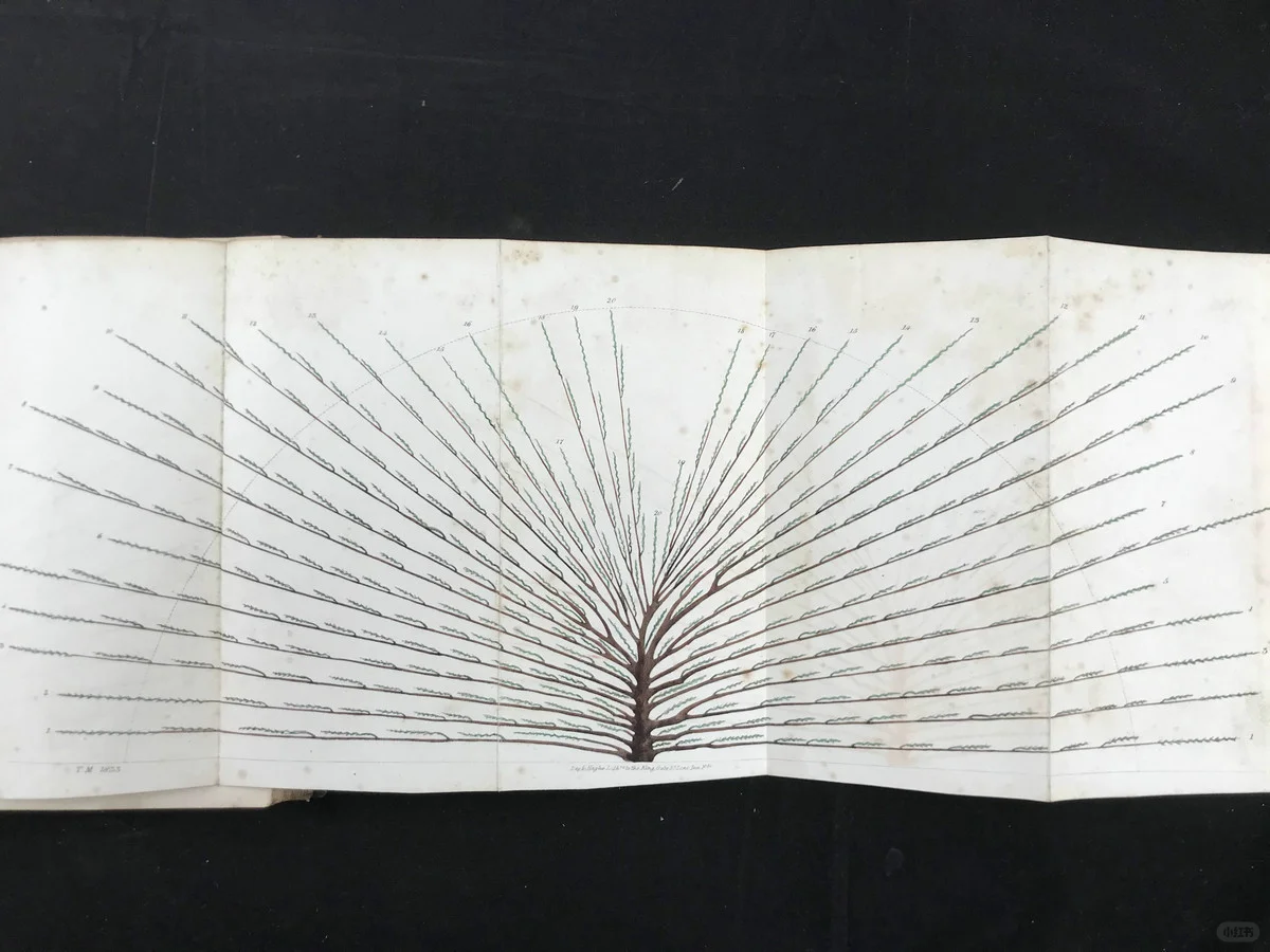 19世纪早期的植物杂志居然要手工给插图上色