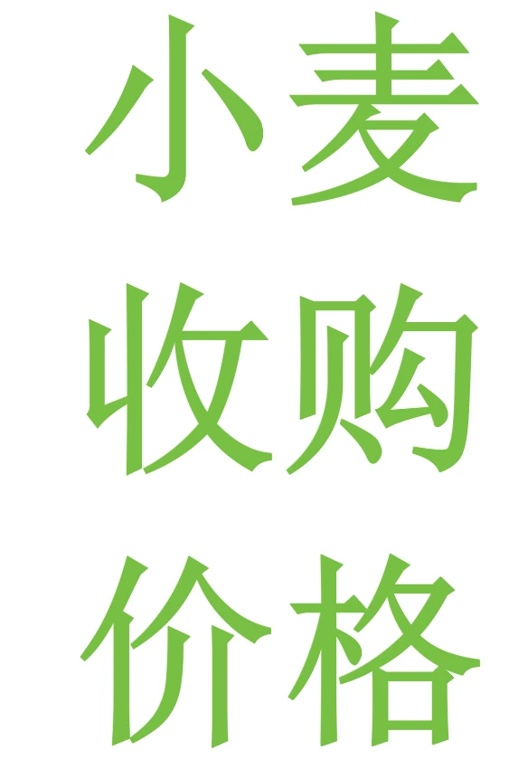 2025年12月5日小麦价格行情