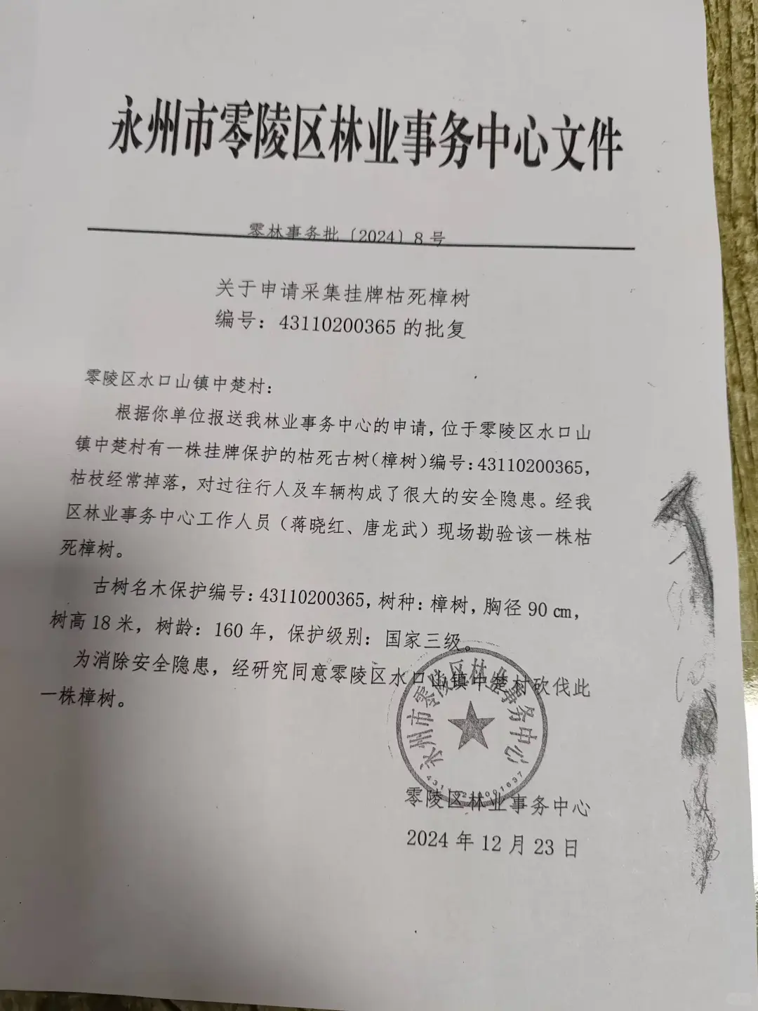 类似于填海批文的证件