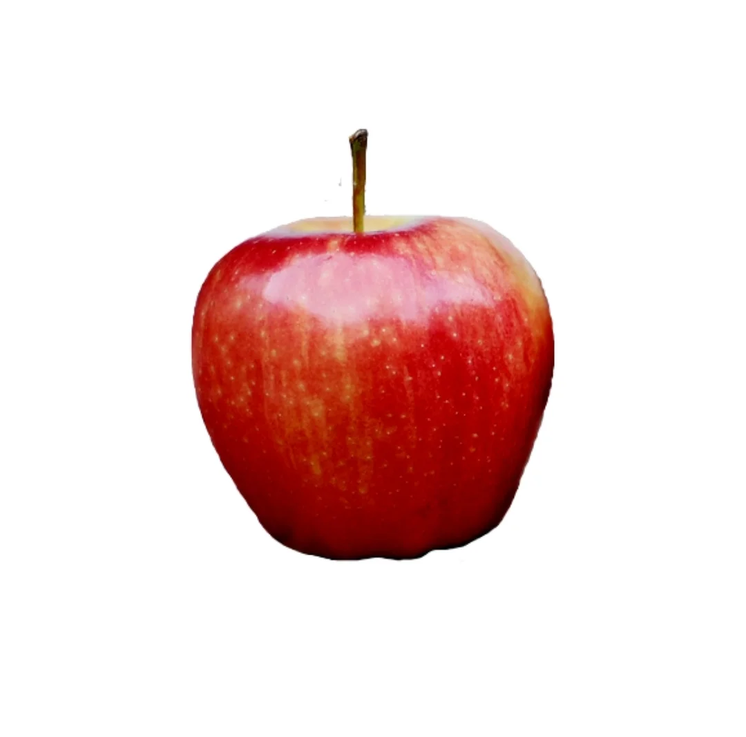 水果可打印素材