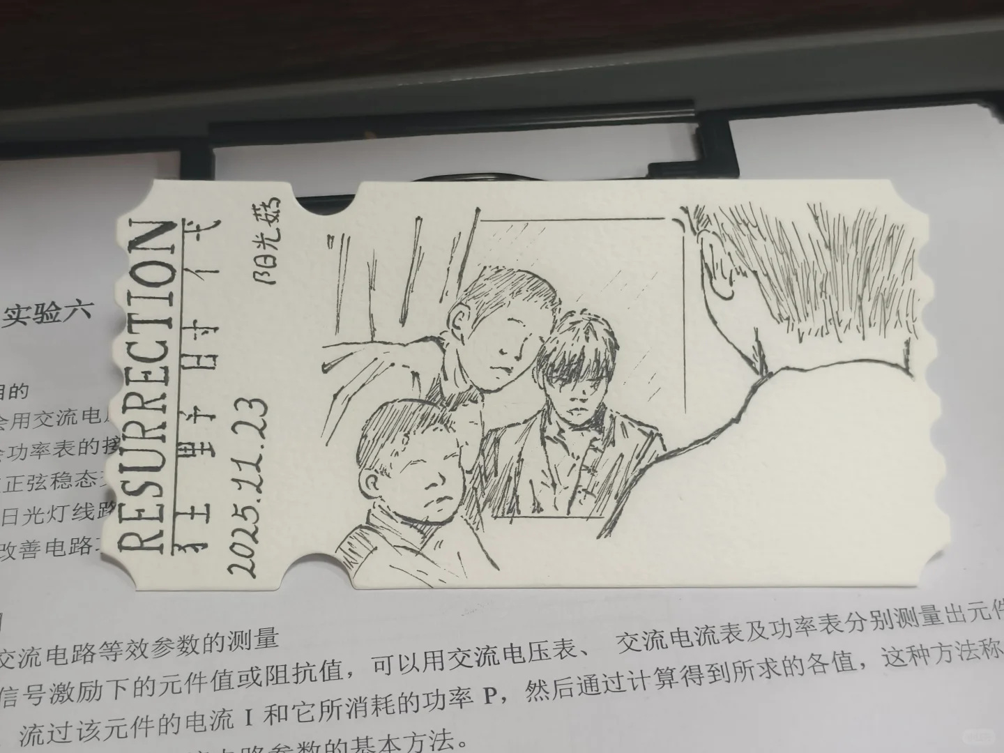 东北林业大学阳光菇