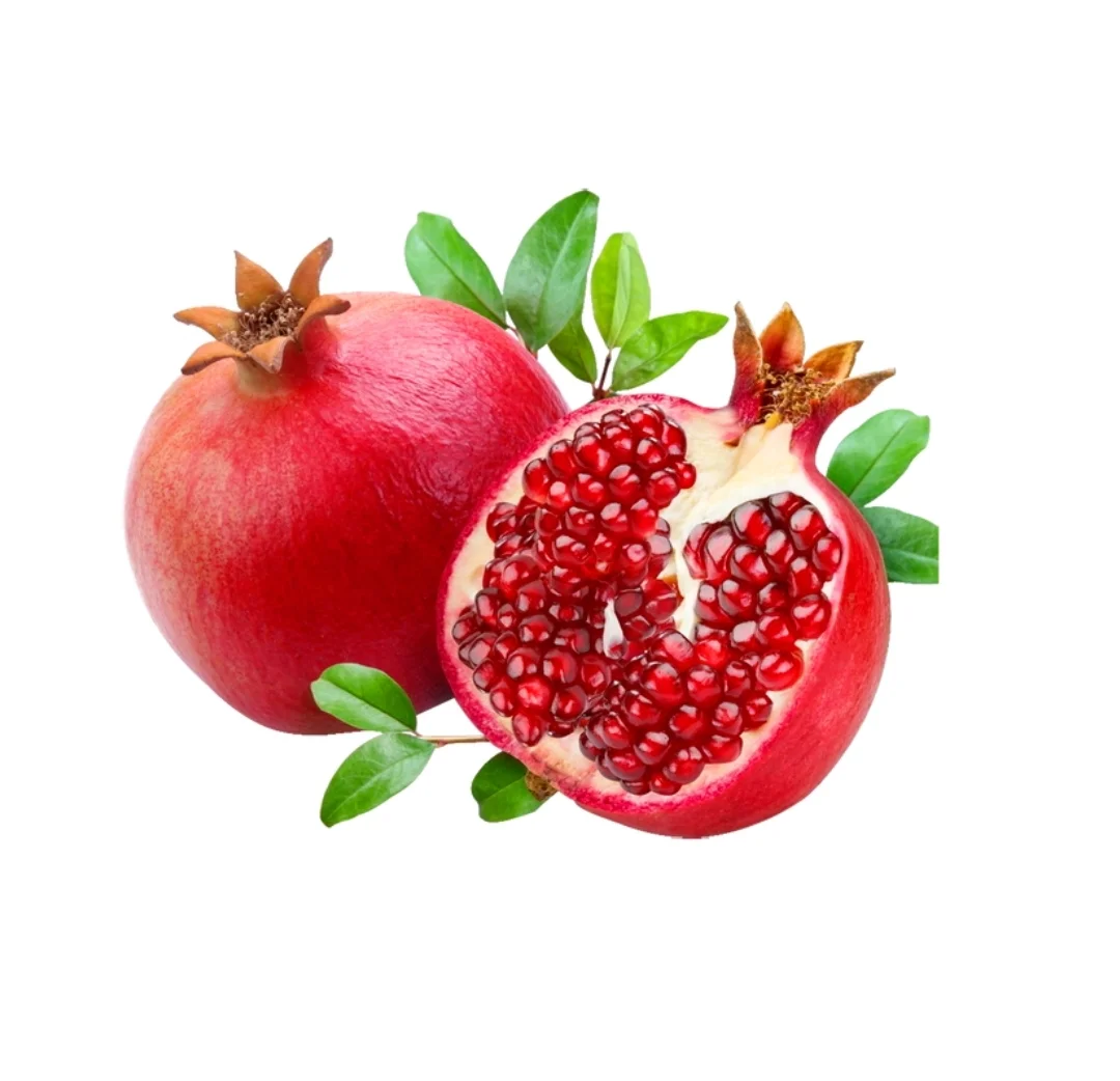 水果可打印素材