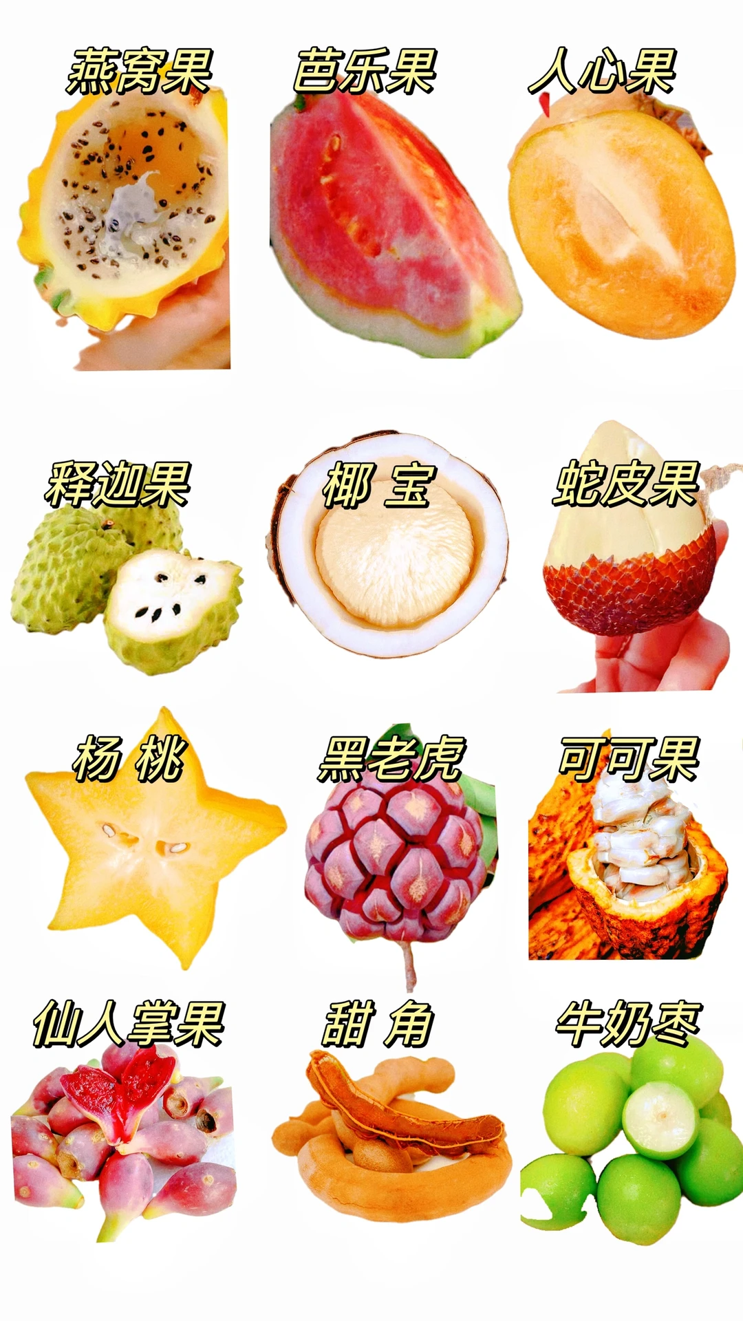 水果脑袋在海南狂欢?