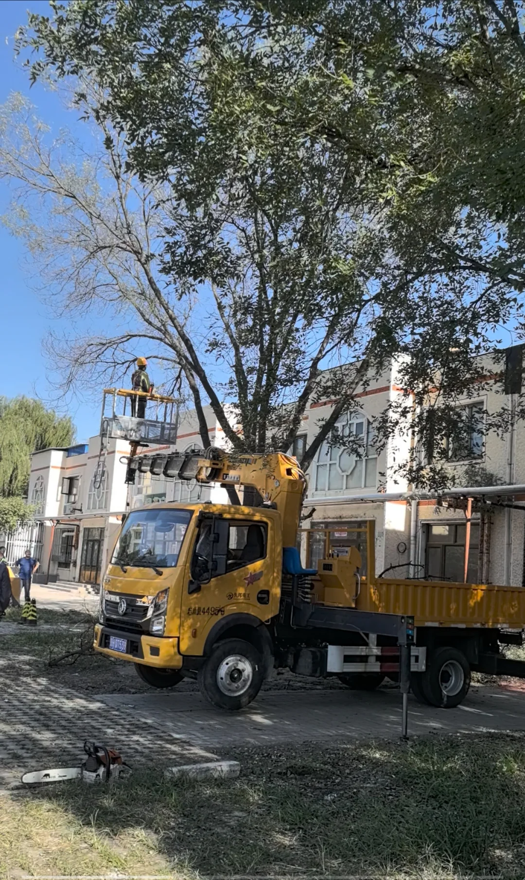 农村林业工人整理树木也用上现代化机械了