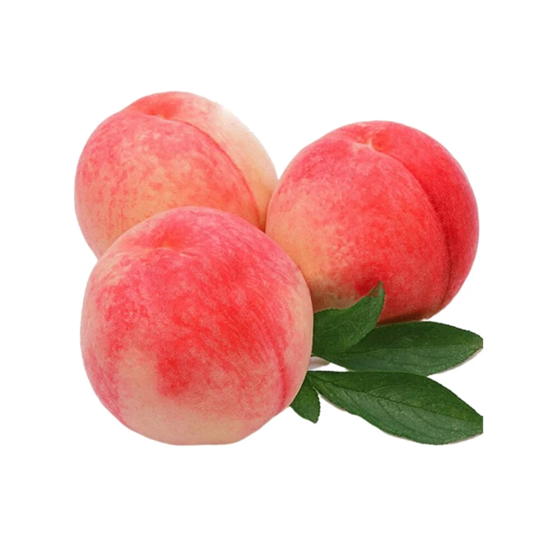 水果可打印素材