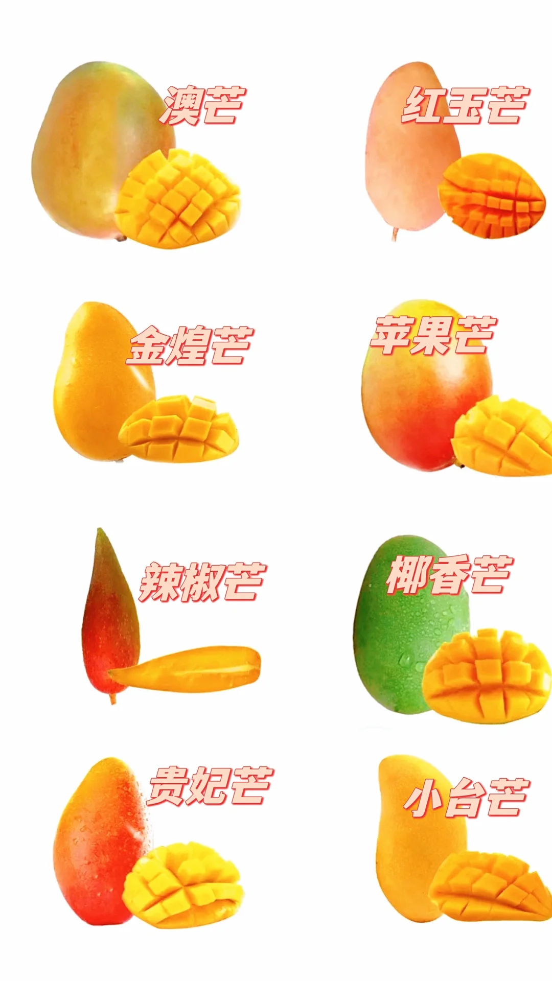 水果脑袋在海南狂欢?