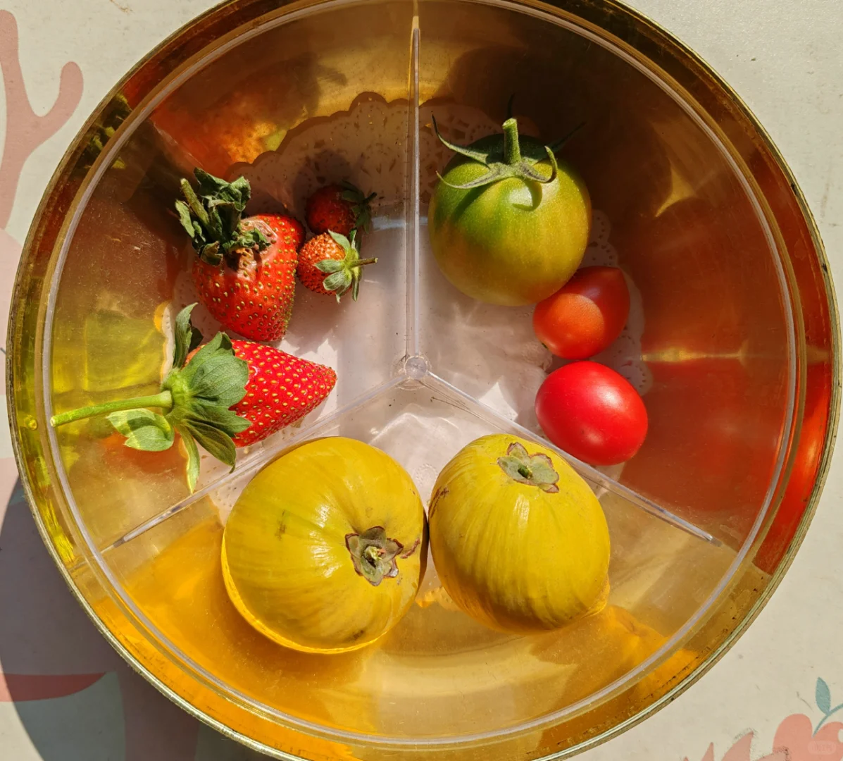 今天阳台农场小收获，这种水果90%人没吃过