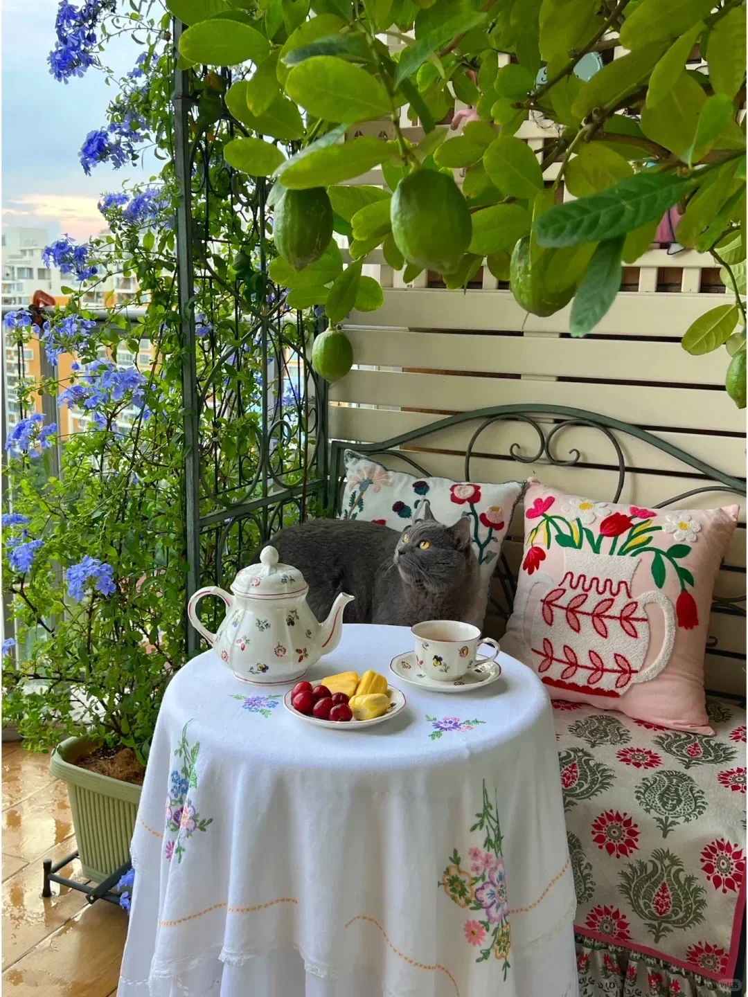 阳台就能种的8种水果,好看又好养,果子压弯