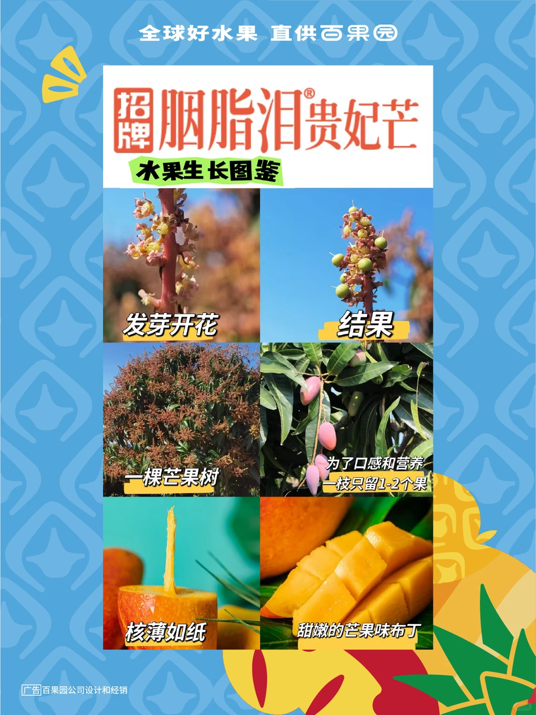 《百果园招牌水果生长图鉴》