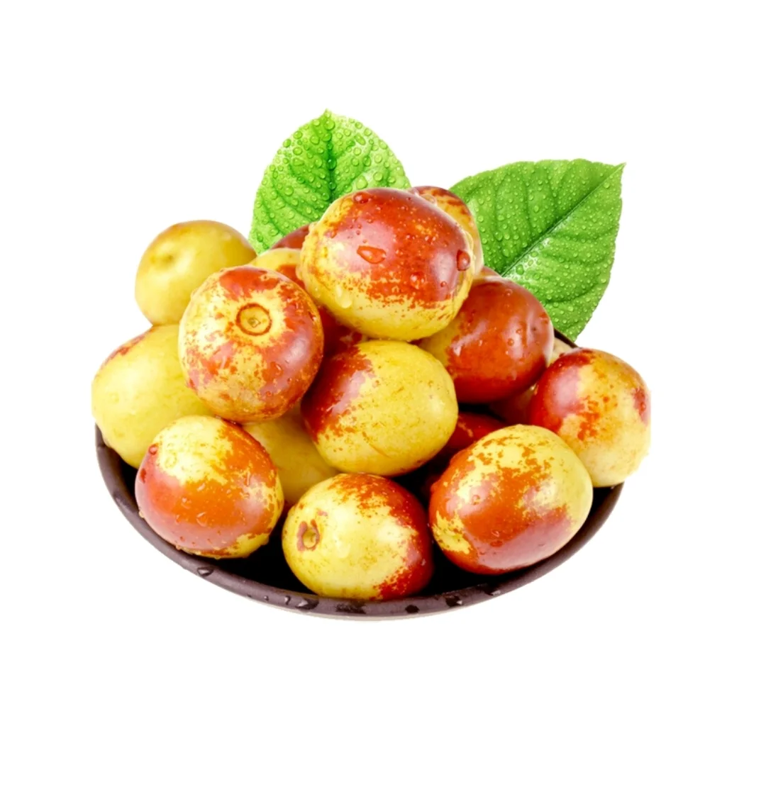 水果可打印素材