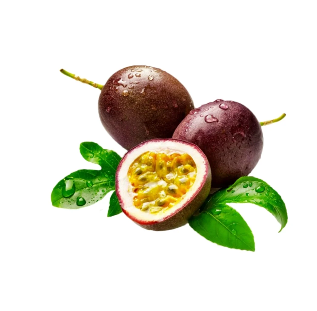 水果可打印素材