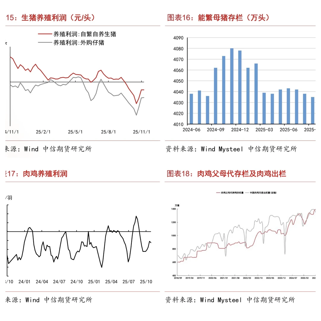 这波玉米暴涨,你跟上了吗?