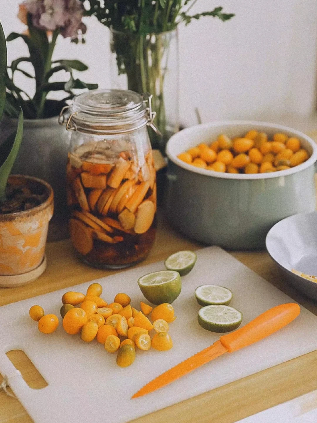 阳台可以盆栽的水果合集?安利给所有姐妹