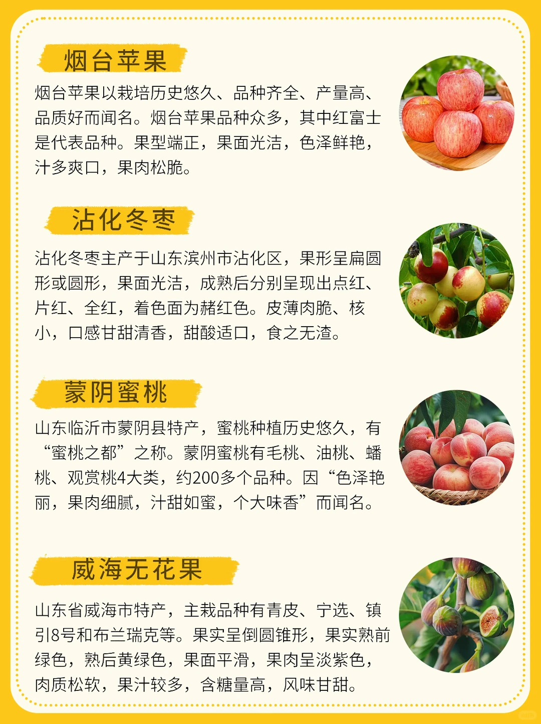 山东必吃水果有哪些❓