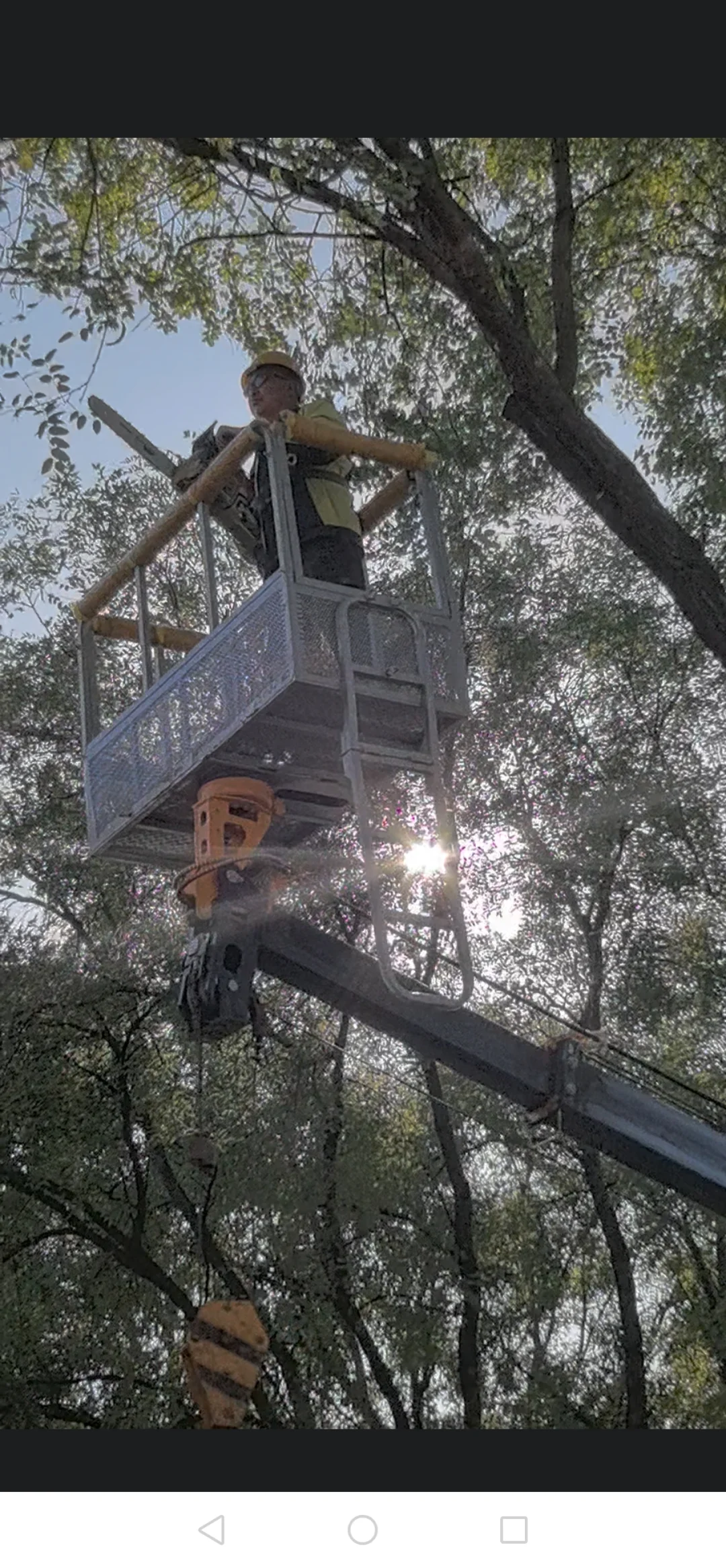 农村林业工人整理树木也用上现代化机械了