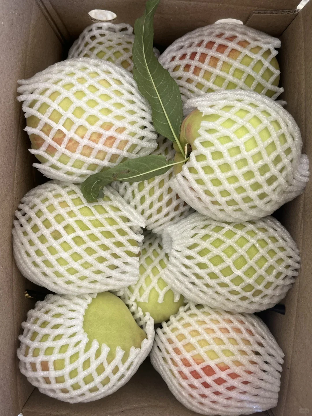 7r一箱！7r一箱！7r一箱！脆甜冬桃?！