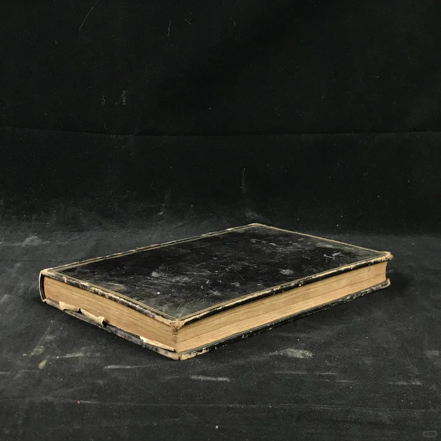 19世纪早期的植物杂志居然要手工给插图上色