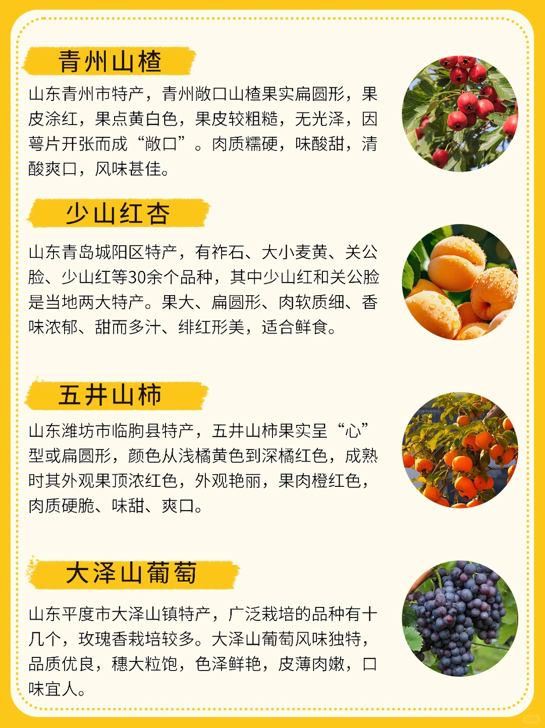 山东必吃水果有哪些❓