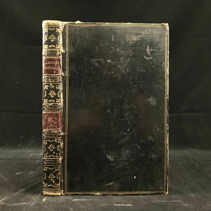 19世纪早期的植物杂志居然要手工给插图上色