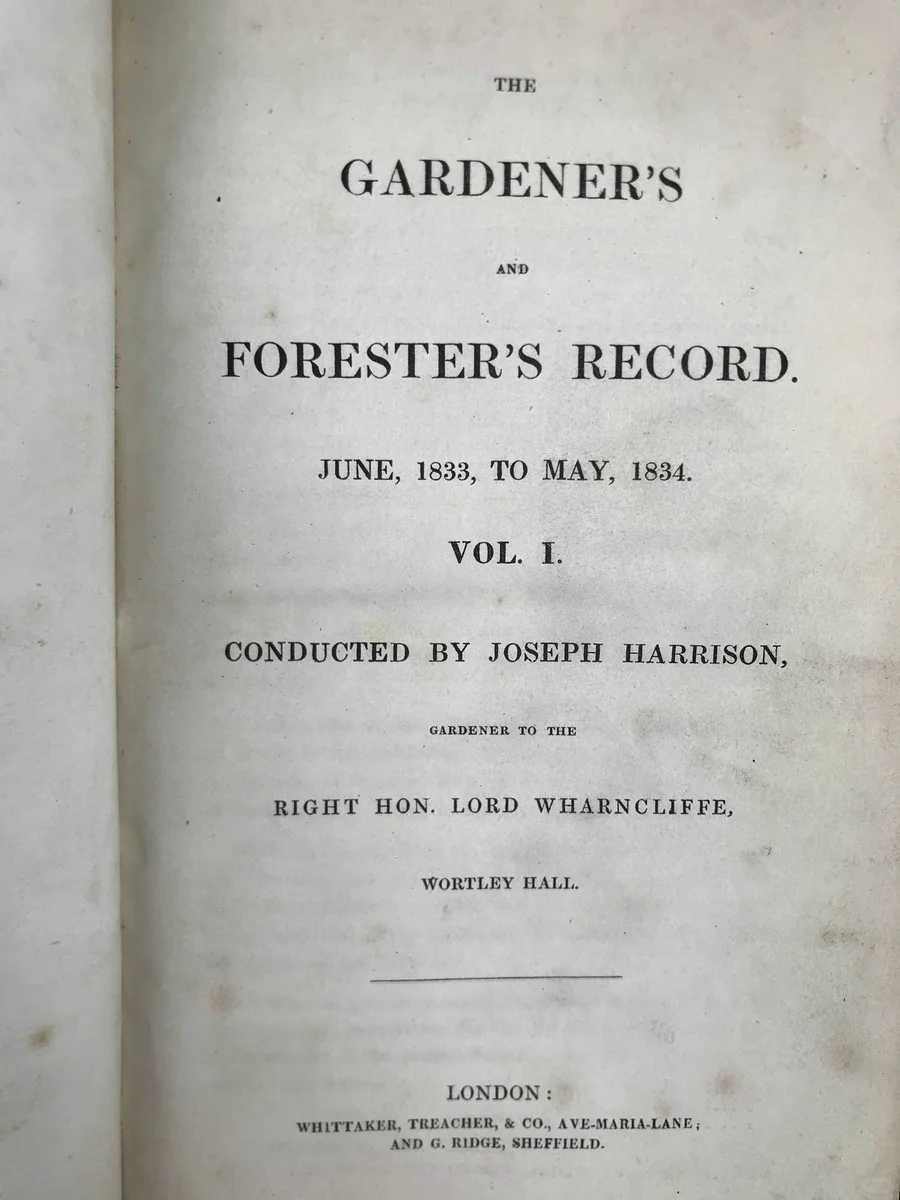 19世纪早期的植物杂志居然要手工给插图上色