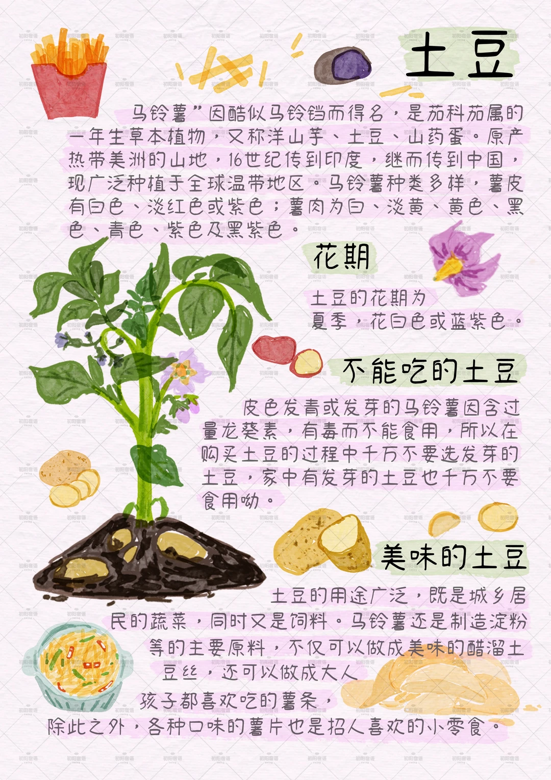 谁懂这九宫格的含金量？植物百科