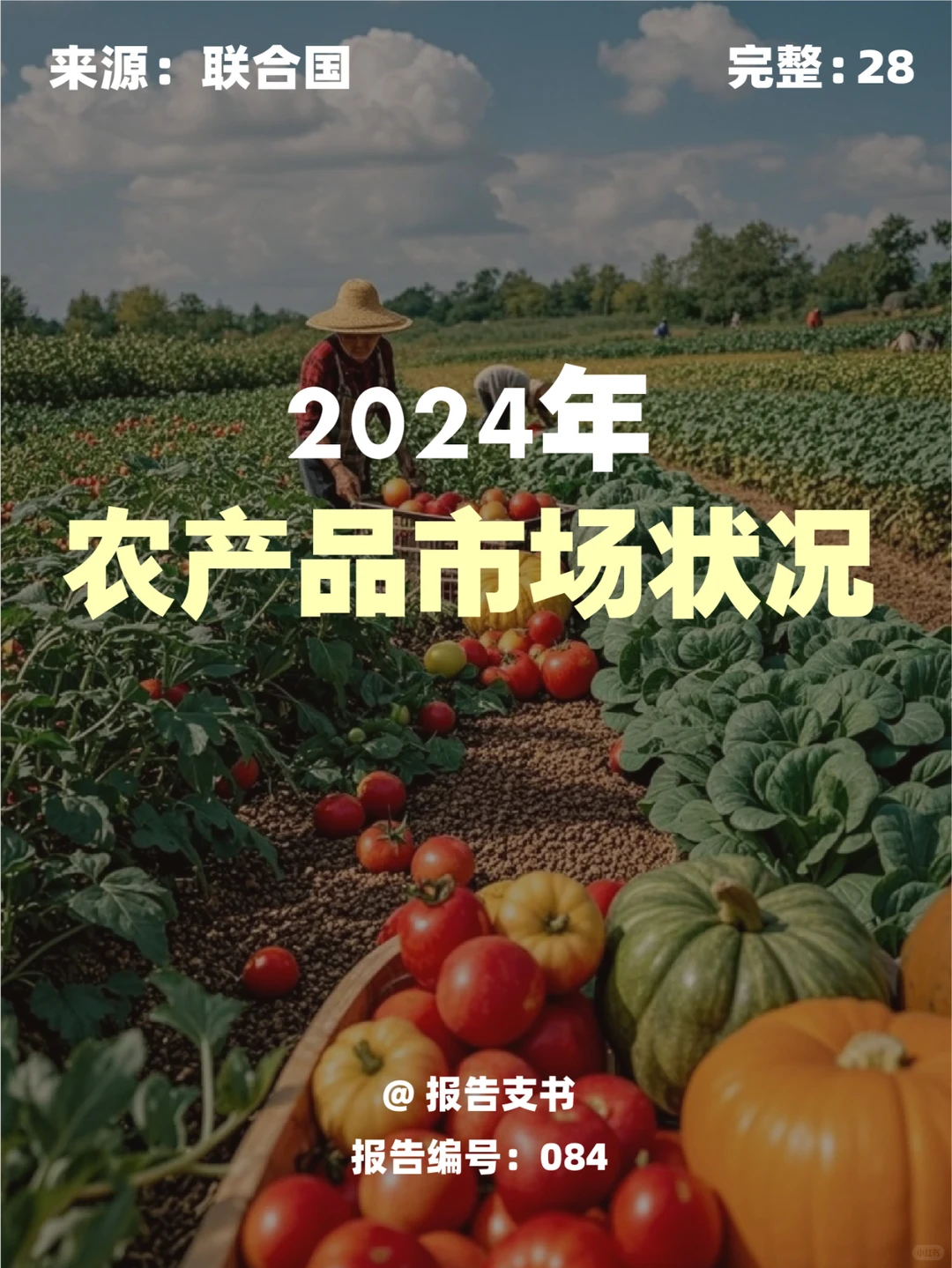 2024年农产品市场状况