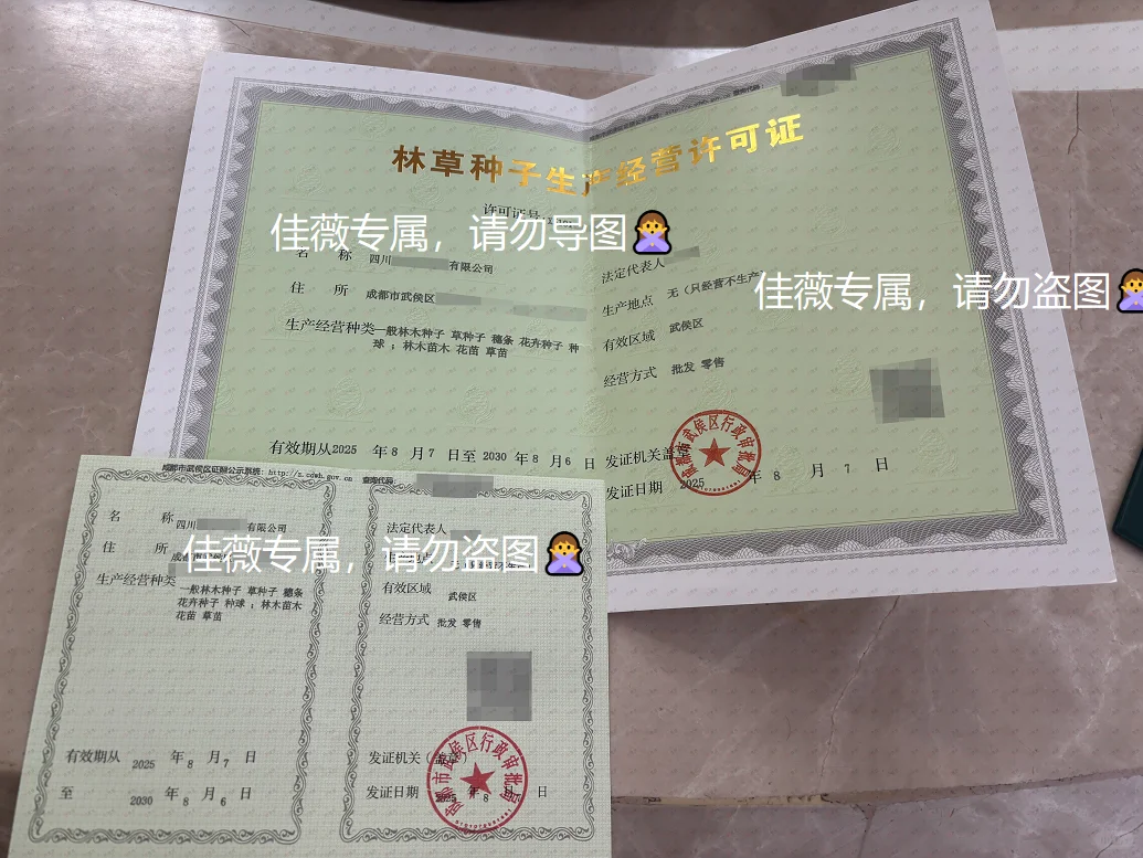 解锁森林密码!超全林木种子代办指南?