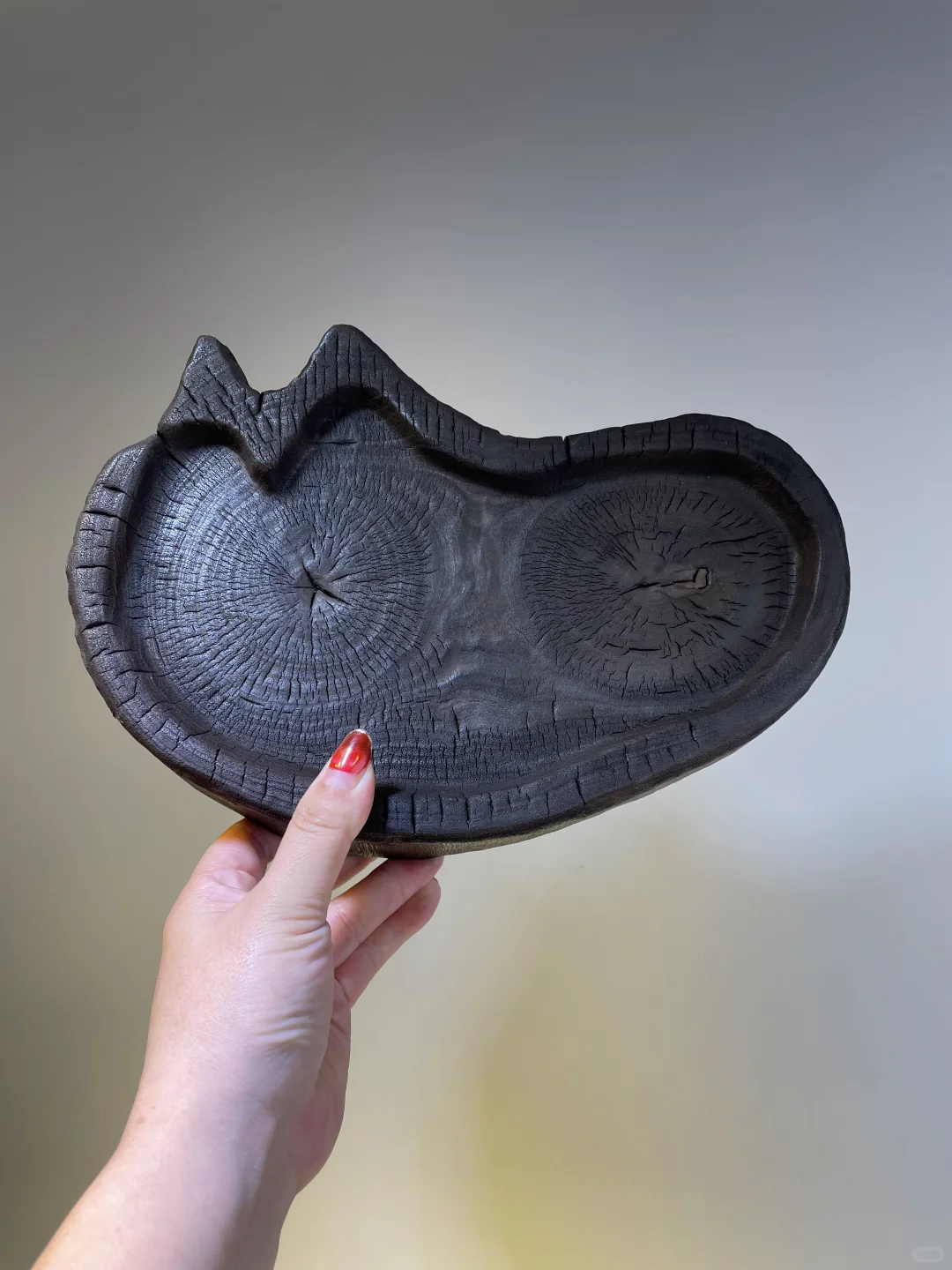 类似于填海批文的证件