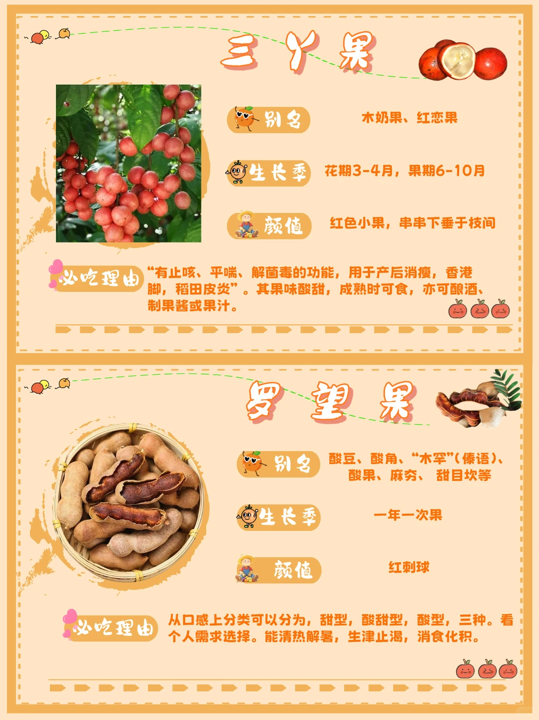 ? 来点云南水果震撼!本地人压箱底清单