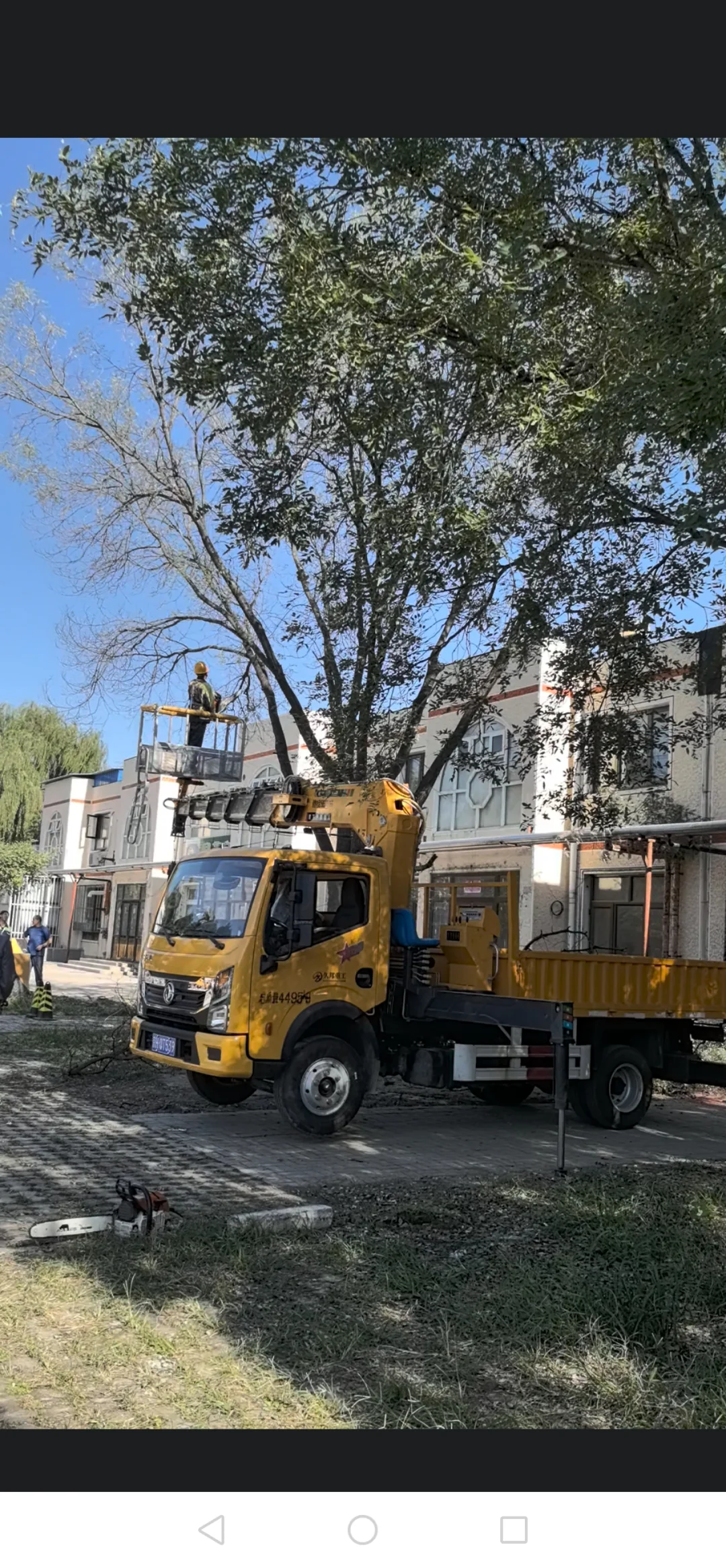 农村林业工人整理树木也用上现代化机械了