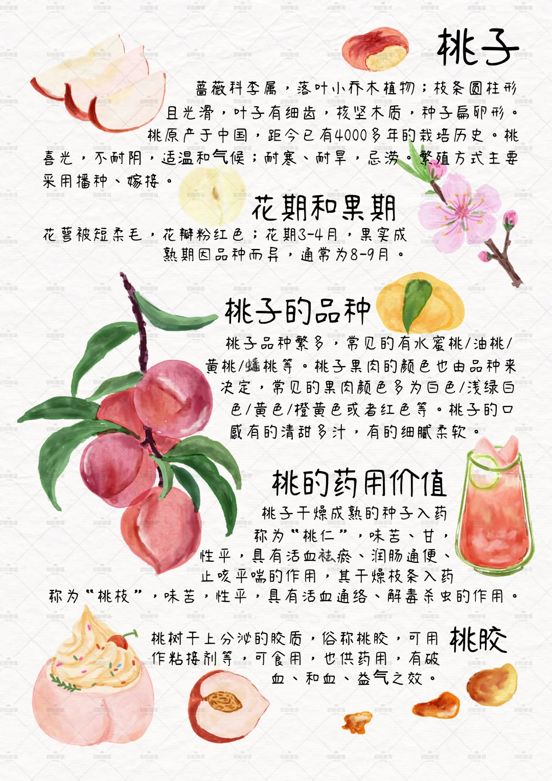 谁懂这九宫格的含金量？植物百科