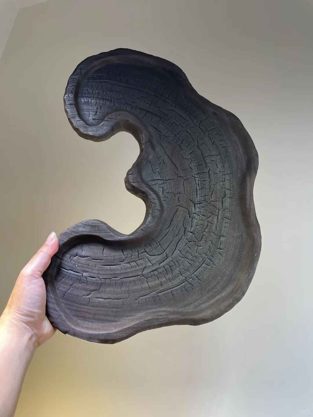 类似于填海批文的证件