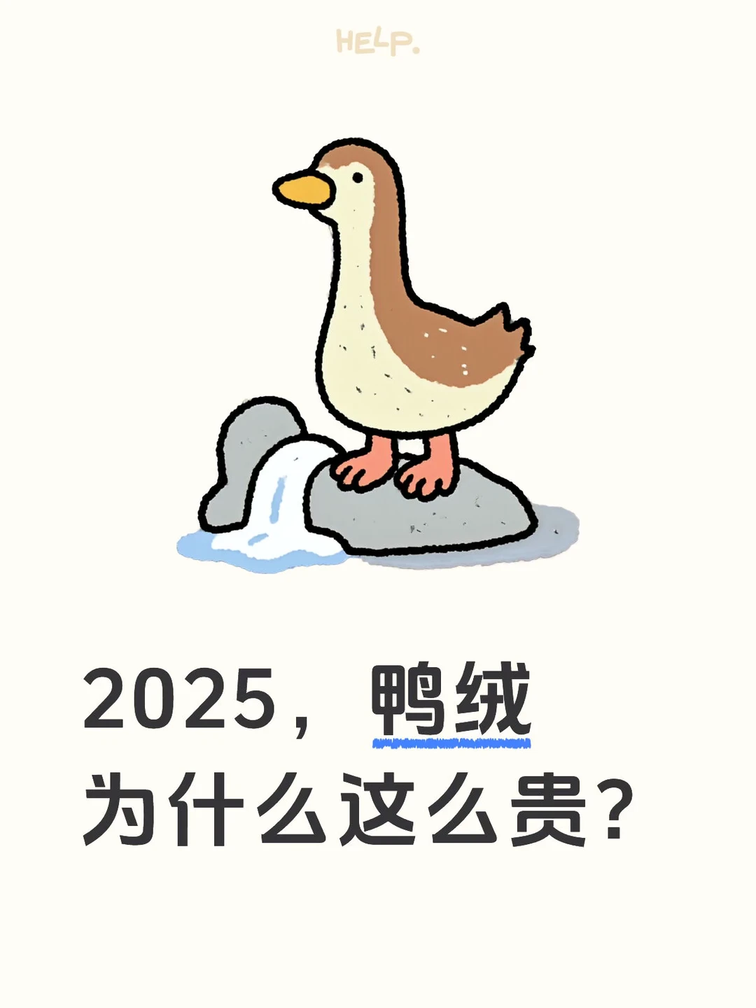 2025第一场雪吃炖大鸭?