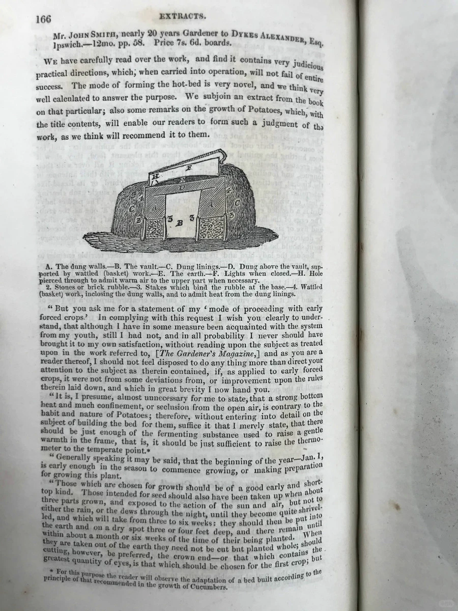 19世纪早期的植物杂志居然要手工给插图上色