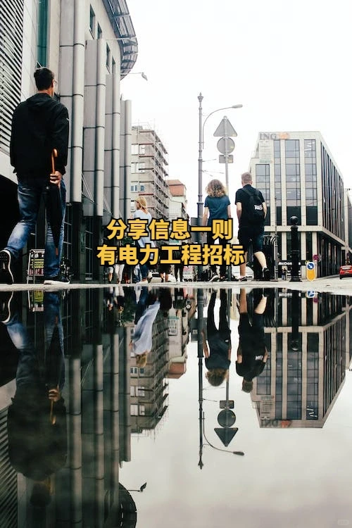 分享一则电力招标的重要信息