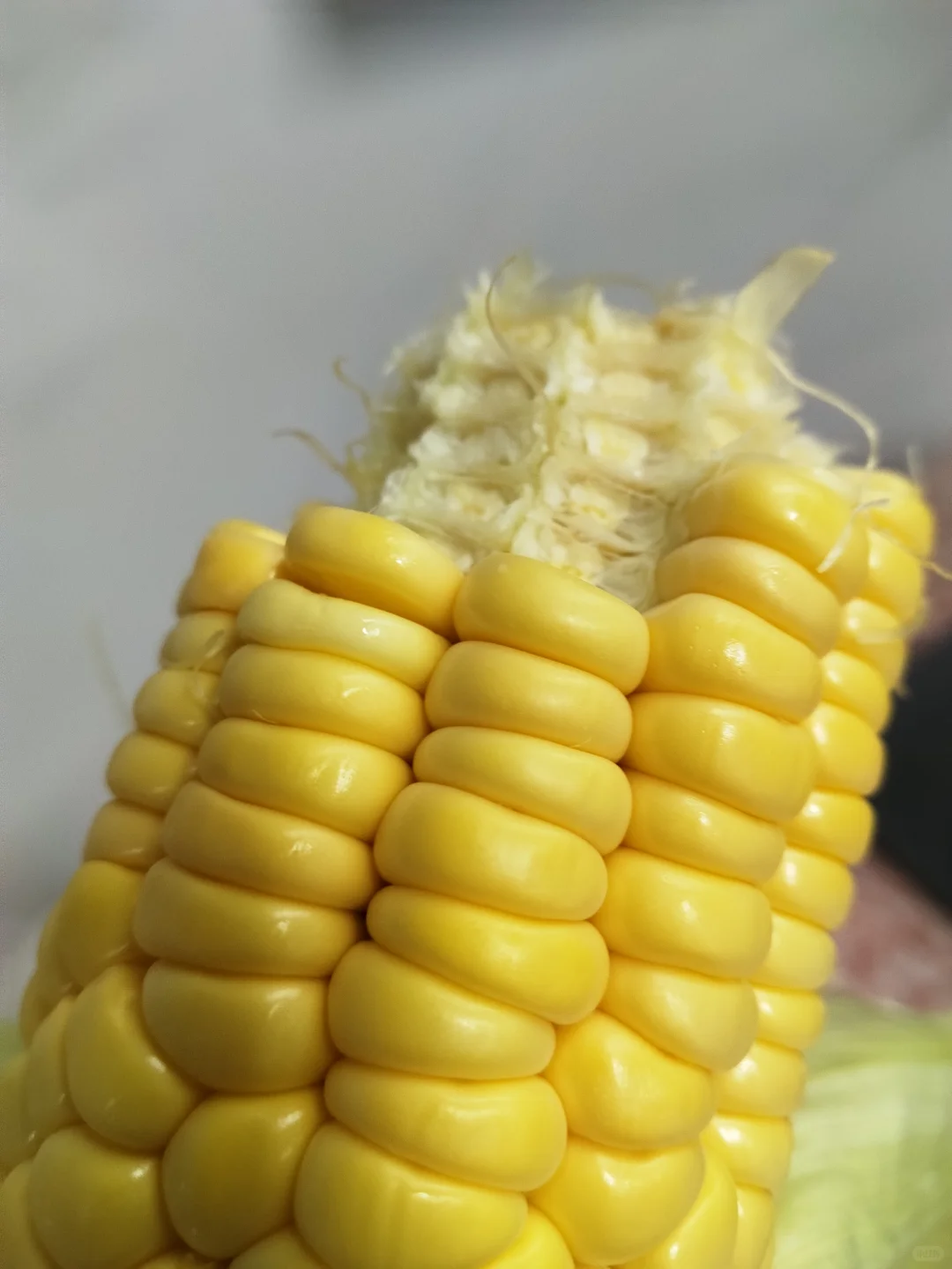 阳江。当日鲜制面包，下午出炉。