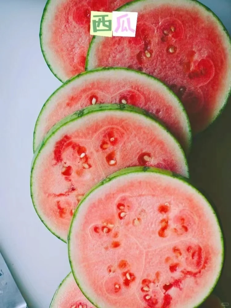 阳台可以盆栽的水果合集?安利给所有姐妹