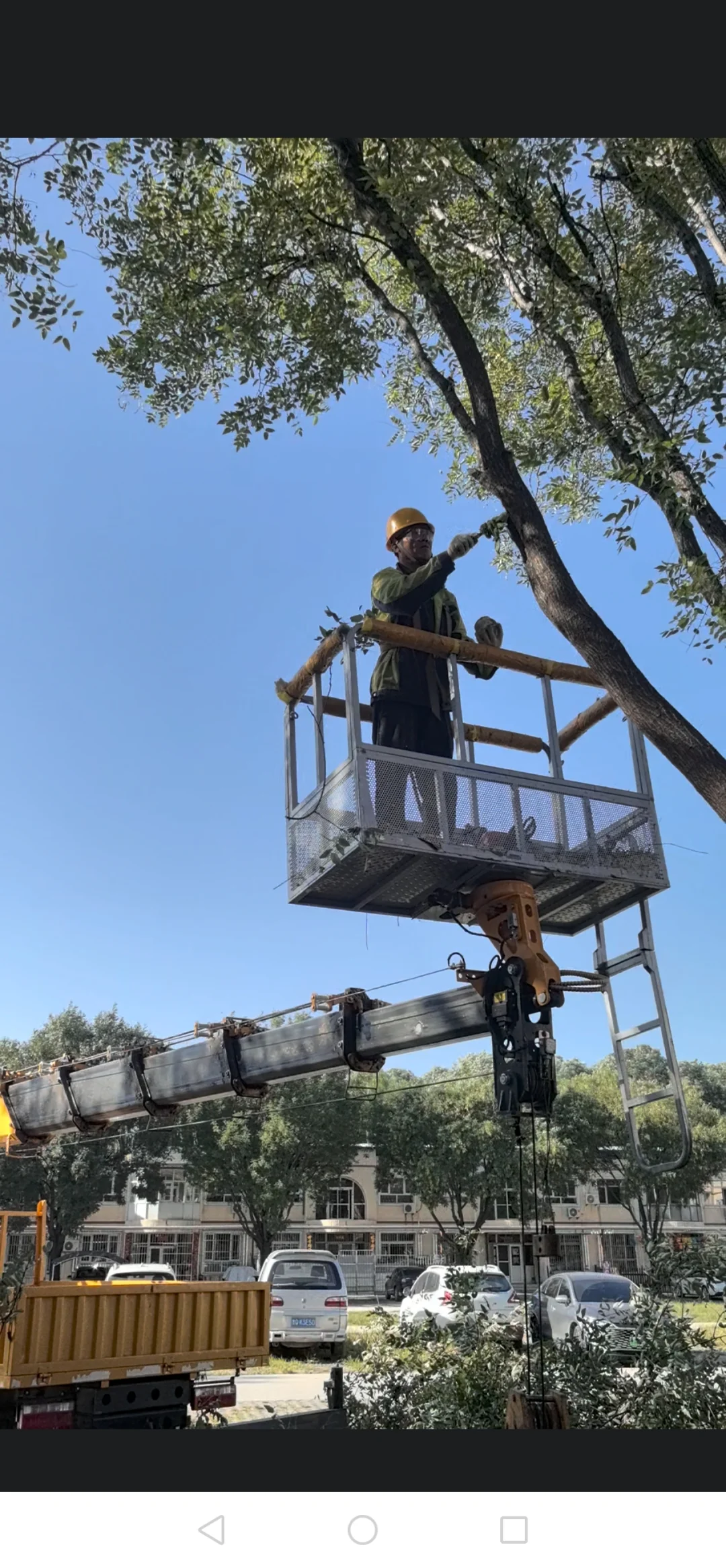 农村林业工人整理树木也用上现代化机械了