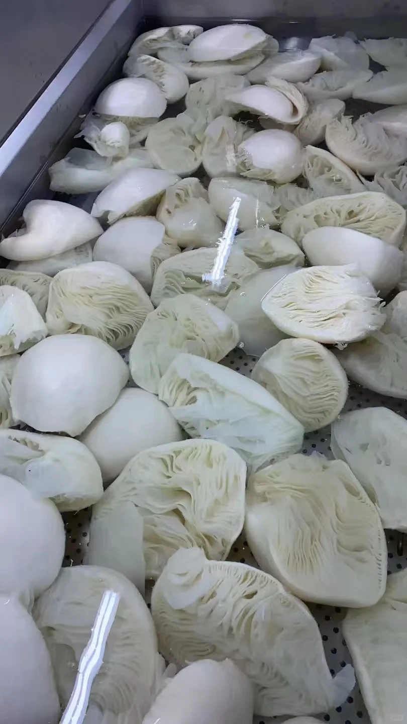 毛肚厂家直销 一件也是批发价