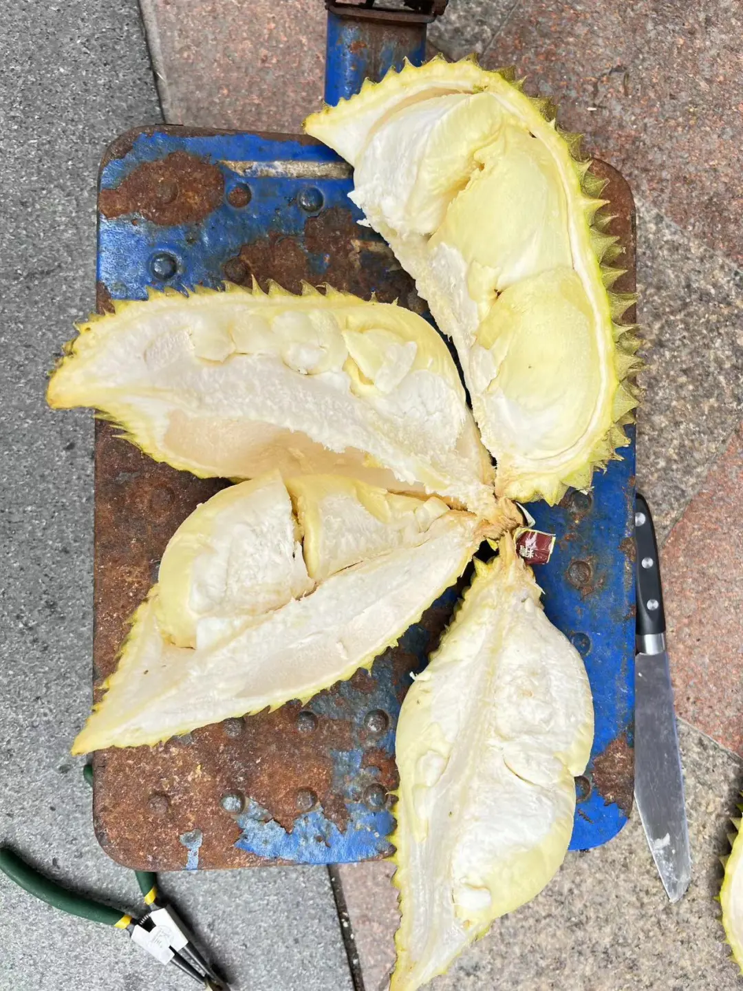 今日社团水果 再✈️400斤