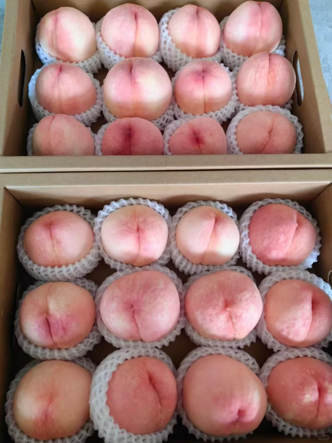 才8r一箱 冬天还能吃到的脆桃